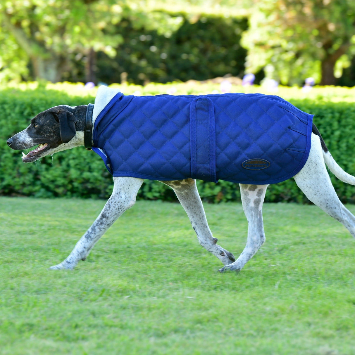 Weatherbeeta Comfitec Deluxe Diamond Quilt Dog Coat #colour_navy