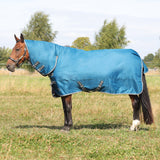 StormX Empra 50g Combi Turnout Rug #colour_teal