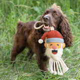 Benji & Flo Christmas Dog Toy #style_santa-claus