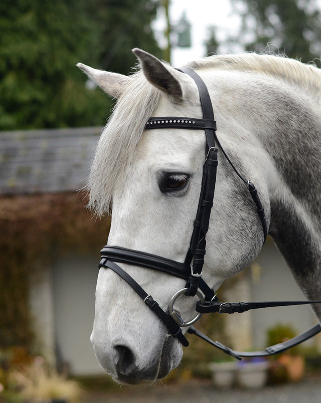 Mackey Equisential Bling Bridle #colour_black