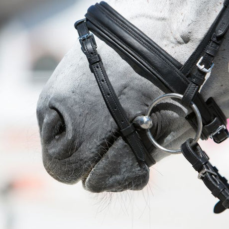 Kieffer Ultrasoft Economy Snaffle Bridle