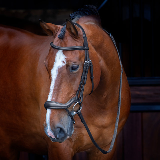 Shires Velociti RAPIDA Ergonomic Flash Bridle #colour_black