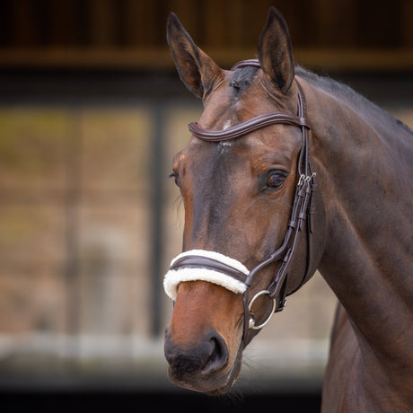 Shires Velociti Rapida Rolled Fleece Noseband #colour_havana