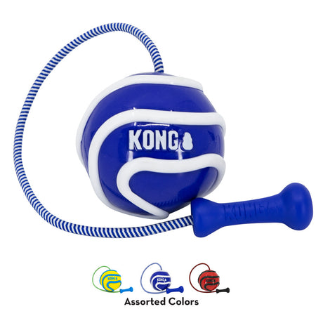 KONG Wavz Bunjiball