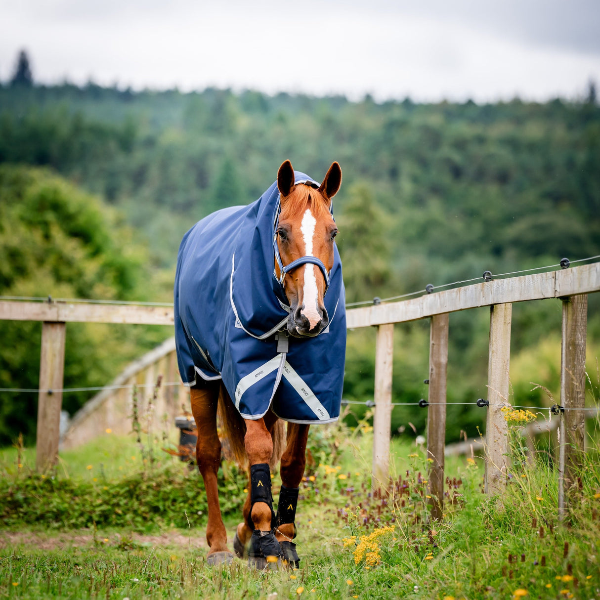 Horseware Ireland Amigo Bravo 12 Plus 250g Medium Turnout Rug #colour_navy-titanium-grey-silver