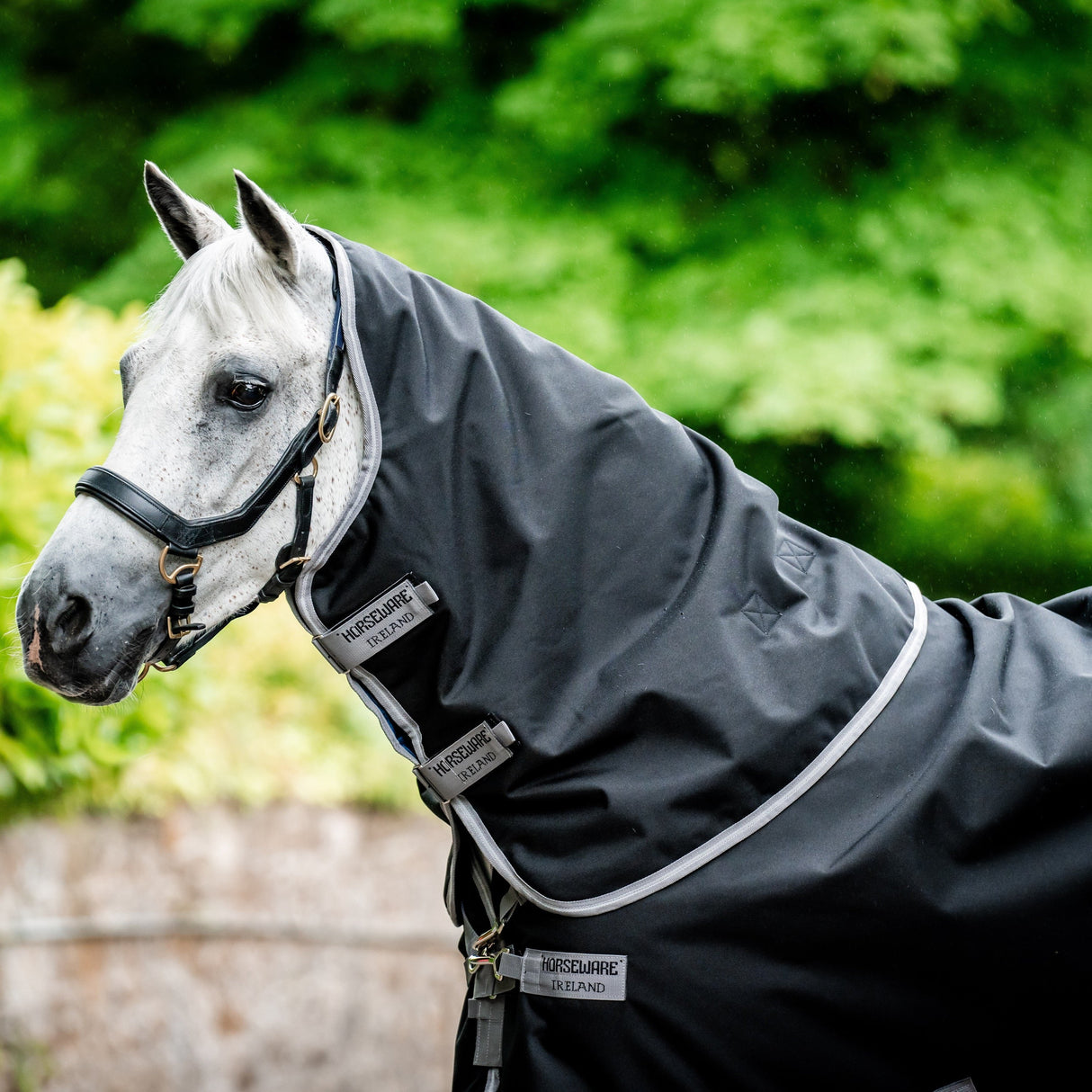 Horseware Ireland Amigo Bravo 12 Plus 400g Heavy Turnout Rug #colour_black-titanium-grey-silver