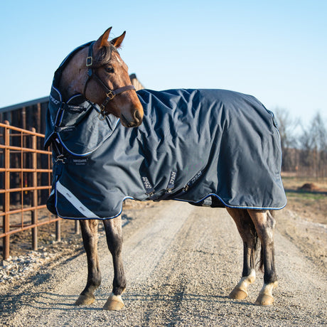 Horseware Ireland Amigo Bravo 12 Plus 400g Heavy Turnout Rug #colour_navy-strong-blue-black