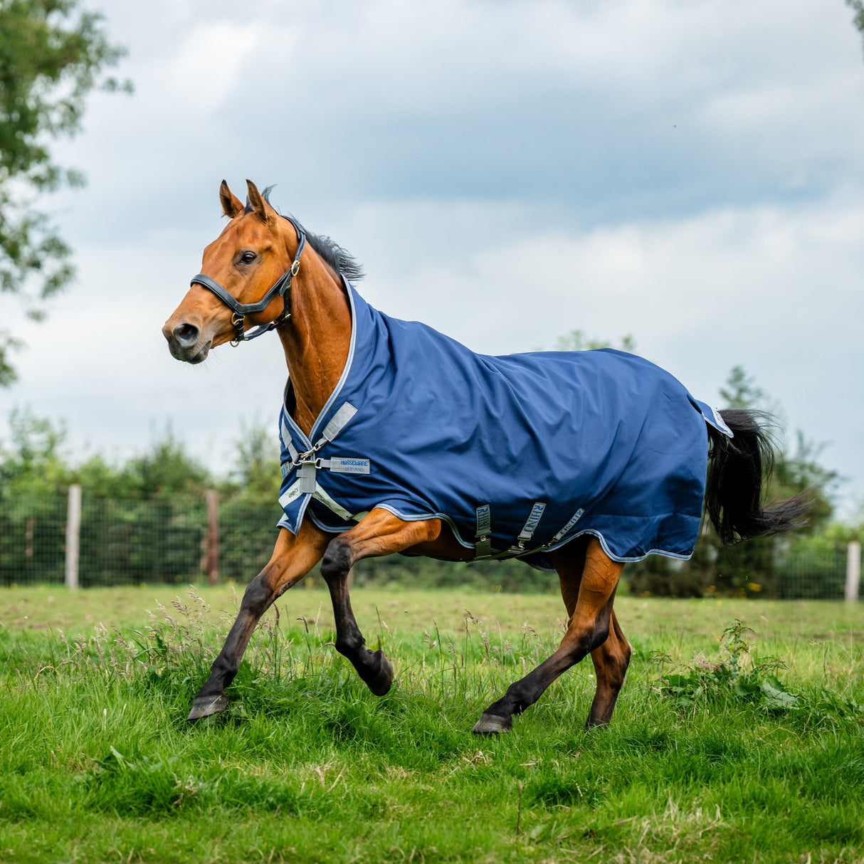 Horseware Ireland Amigo Bravo 12 Wug 0g Lite Turnout Rug #colour_navy-titanium-grey-silver