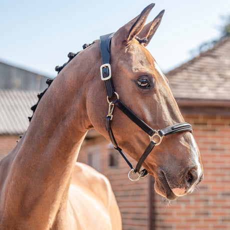 Henry James Comfort 3D Air Headcollar #colour_havana-brown