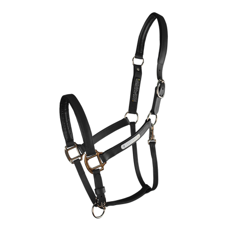 Equilibrium Stellar All-Weather Safety Headcollar #colour_black