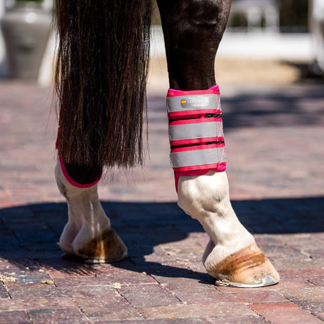 Equilibrium Tri Zone Brushing Boots #colour_black-flourescent-pink