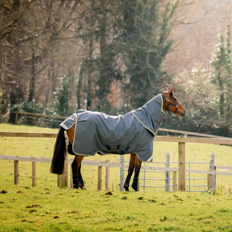 Horseware Ireland Amigo Bravo 12 Plus 0g Lite Turnout Rug #colour_shadow-navy-rose