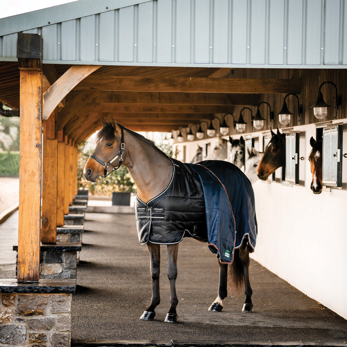 Horseware Ireland Horseware Easy-Layer 100g Stable Rug #colour_black-black-silver