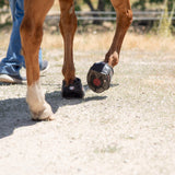 Cavallo Trek Pro Boot