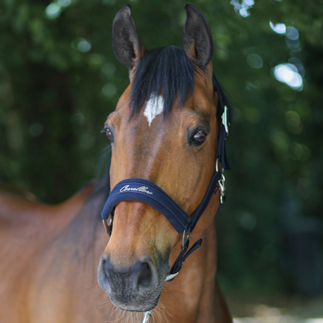 Covalliero Padded Headcollar #colour_dark-navy