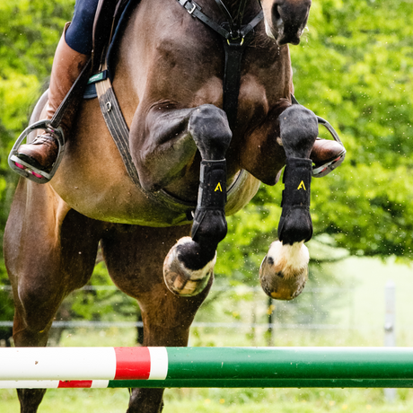 Horseware Ireland Adagio Boot #colour_black-yellow