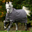 Horseware Ireland Amigo Bravo 12 Original 0g Lite Turnout Rug #colour_excalibur-plum-silver