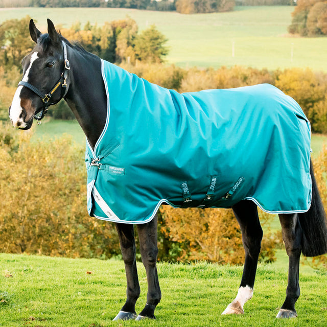 Horseware Ireland Amigo Bravo 12 Wug 250g Medium Turnout Rug #colour_storm-green-turquoise-aqua