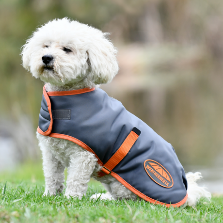 Weatherbeeta Comfitec Windbreaker Free Parka Dog Coat #colour_gunmetal-coral