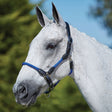 Kincade Leather Rope Head Collar #colour_blue