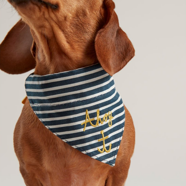 Joules Nautical Collar & Neckerchie #colour_navy